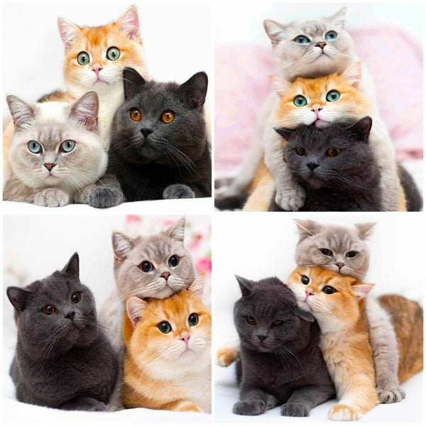 Complete Tool Kit Animal Diamond Painting