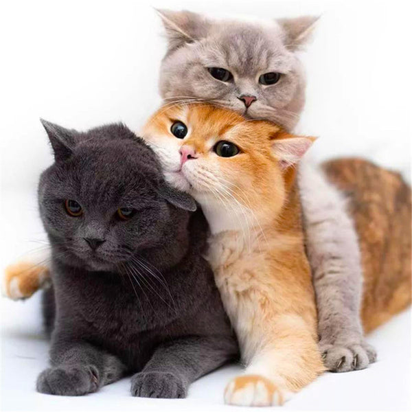 Complete Tool Kit Animal Diamond Painting