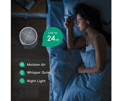 Air Purifier Humidifier Combo, 2-in-1 HEPA