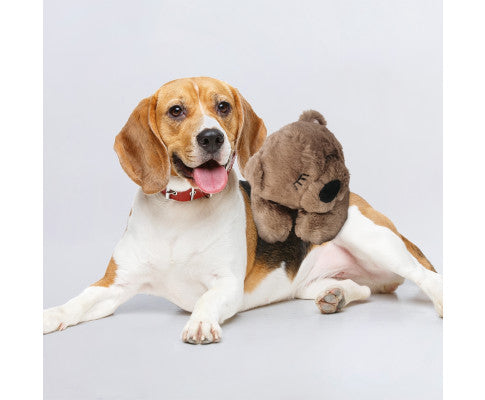 FLOOFI Pets Soft Plush Toy(Brown)FI-PPT-101-XM