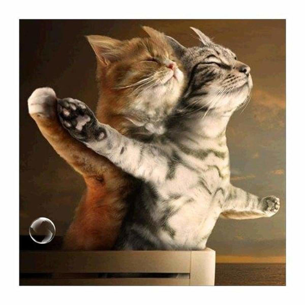 5D DIY Diamond Painting Kits Funny Cute Cats Lovers Titanic 60x60