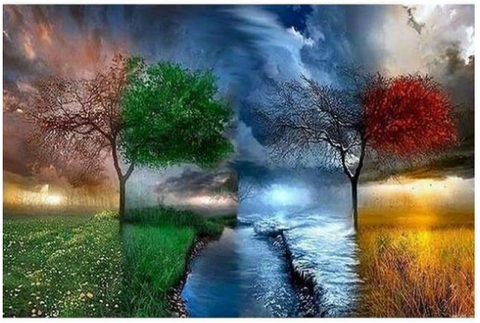 Full Drill  5D DIY Diamond Painting Kits Fantasy Four Seasons Tree Sky