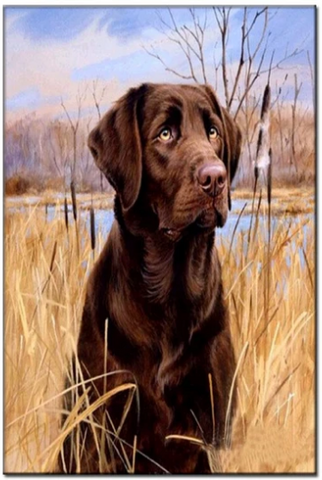 Mnp Dotz Black dog | Full Round Diamond Painting Kits 20x30