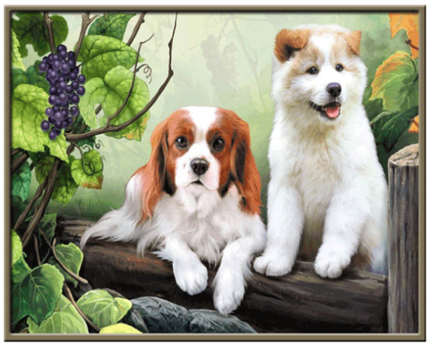 MNP DOTZ Diamond Painting Kits Dog FULL Round 20x25