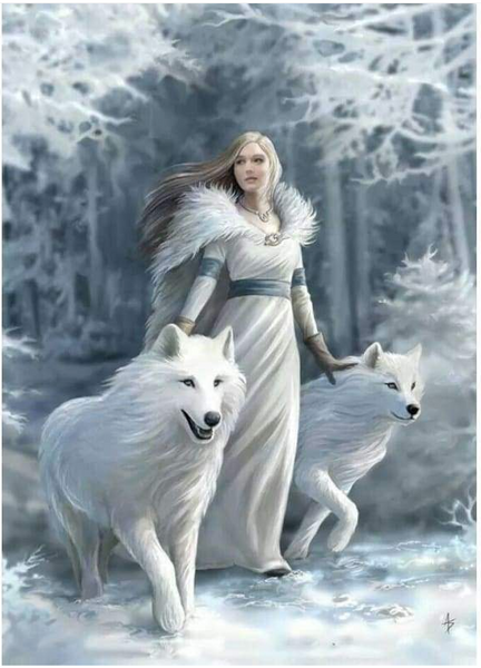 FULL DRILL 5D DIY DIAMOND PAINTING KITS WINTER BEAUTY AND ANIMAL WOLF