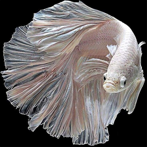FULL DRILL 5D DIY DIAMOND PAINTING KITS BEAUTIFUL PINK FISH