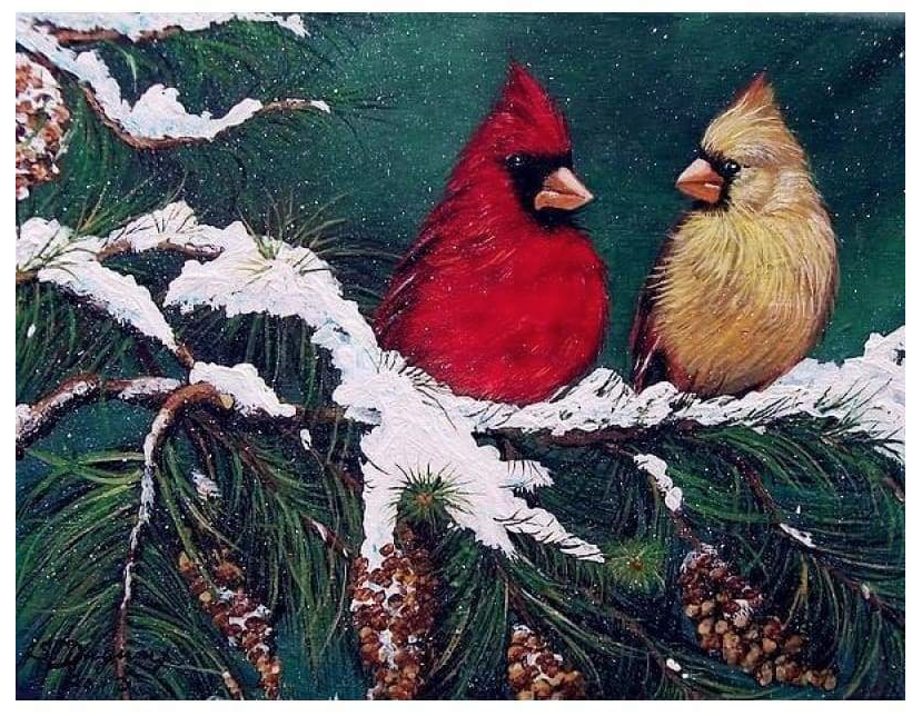 NEW CHRISTMAS BIRD BLING BLING ART DIAMOND PAINTING KITS 25x30