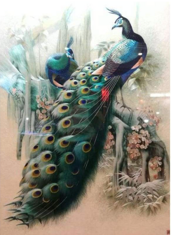 FULL DRILL - 5D DIY DIAMOND PAINTING KITS CARTOON DREAM TWO PEACOCKS