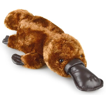 Platypus Silky