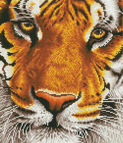 Diamond Dotz Kit BENGAL MAGIC - 36 x 42cm