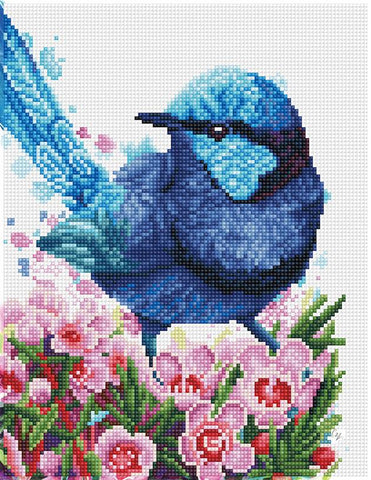 DIAMOND DOTZ  SPLENDID FAIRY WREN, 35 X 27CM