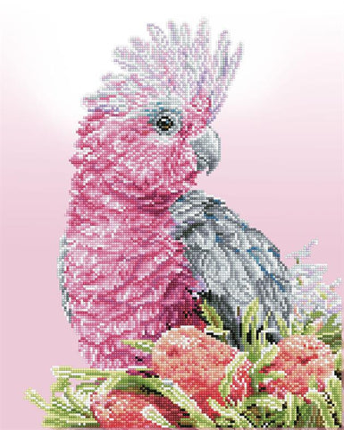 DIAMOND DOTZ  PINK GALAH AND BANKSIA, 51 X 41CM