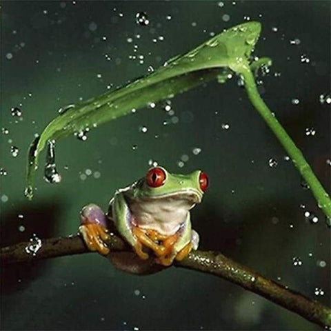 MODERN ART FROG FULL DRILL MNP DOTZ  5D DIY DIAMOND PAINTING KITS